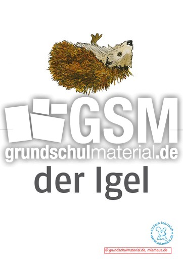 Bildkarten_d_Waldtiere 8.pdf